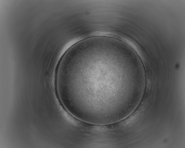 X0000094821050200711241503
