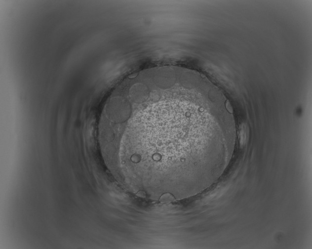 X0000094821059200711241503