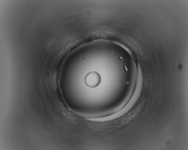 X0000094821060200711241503