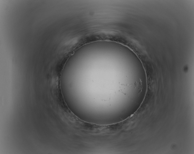 X0000094821061200711241503