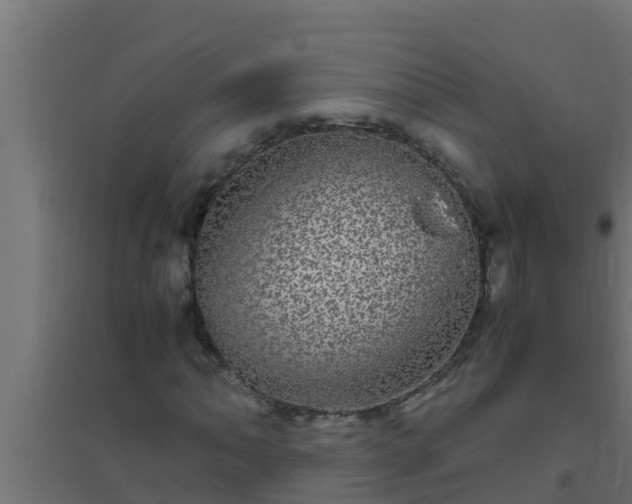 X0000094821062200711241503