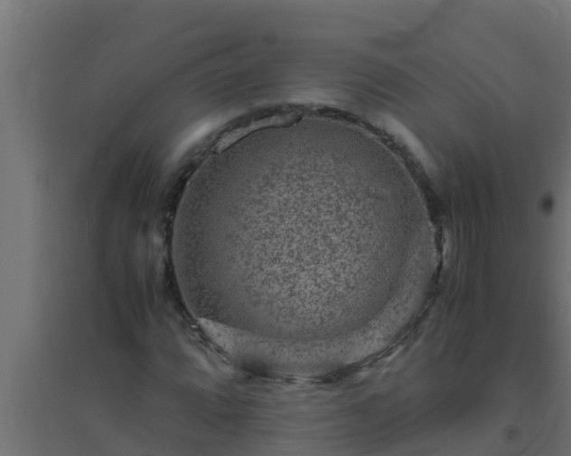 X0000094821064200711241503