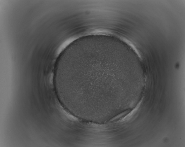 X0000094821066200711241503