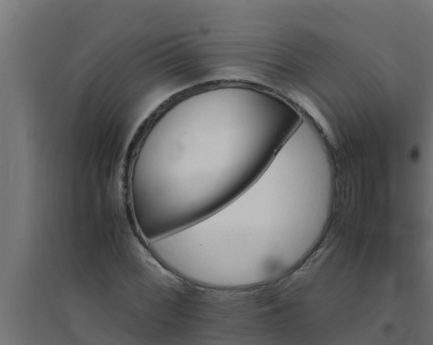 X0000094821068200711241503