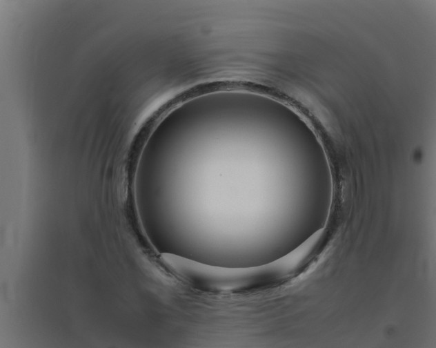 X0000094821069200711241503