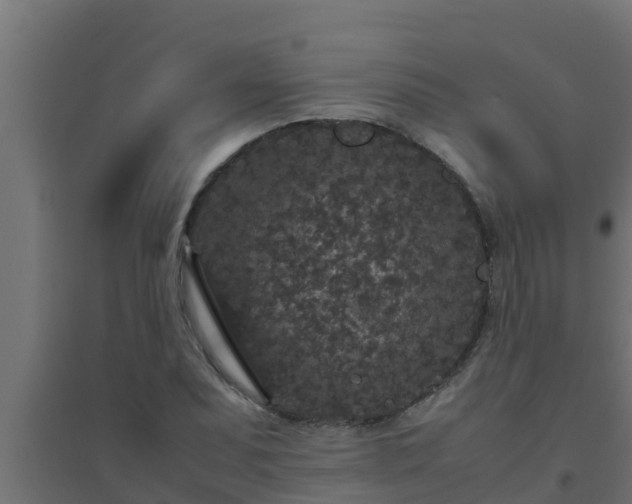 X0000094821071200711241503
