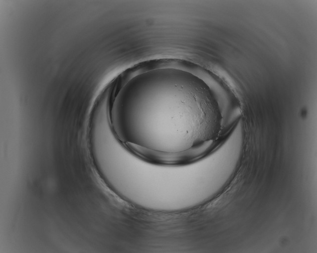X0000094821072200711241503