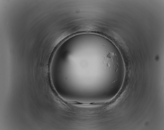 X0000094821073200711241503
