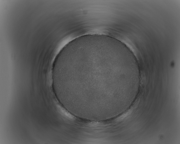 X0000094821075200711241502