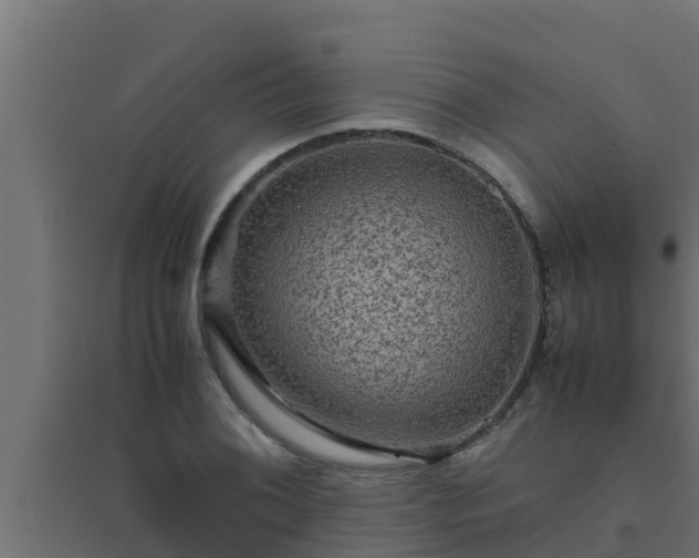 X0000094821076200711241502