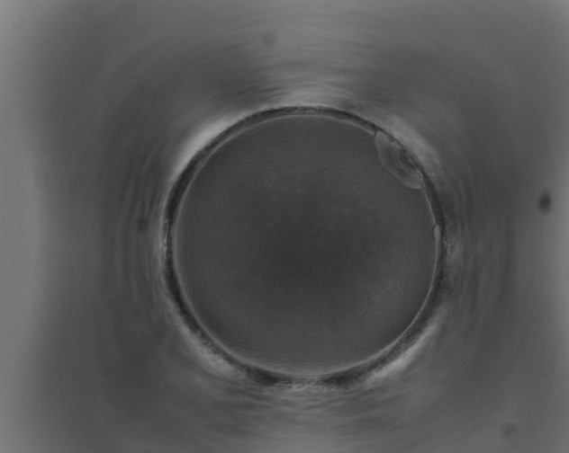 X0000094821077200711241502