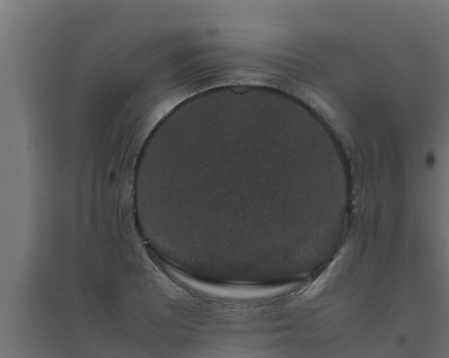X0000094821081200711241502