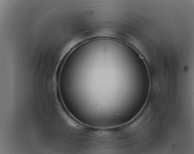 X0000094821082200711241502