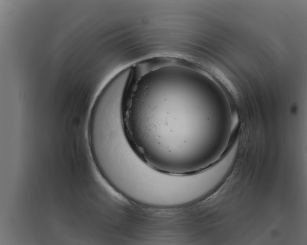 X0000094821084200711241502