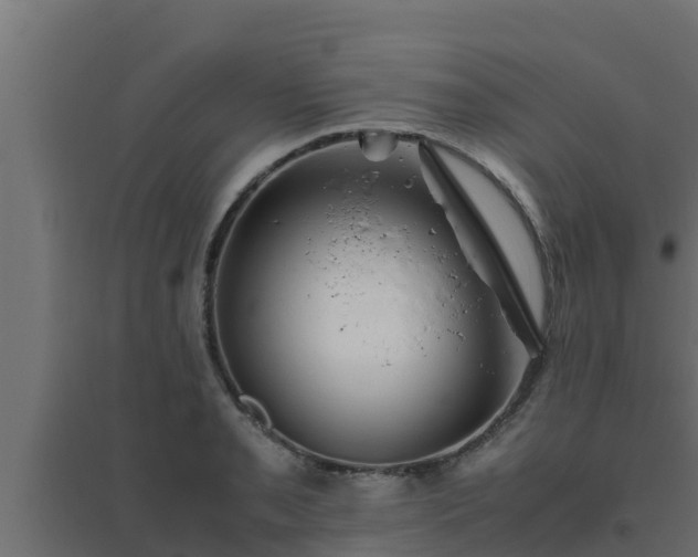 X0000094821085200711241502