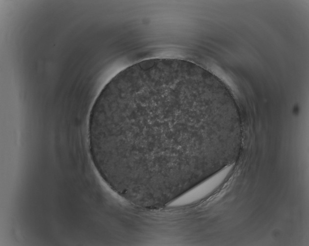 X0000094821087200711241502