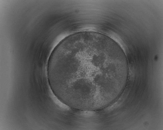 X0000094821090200711241502