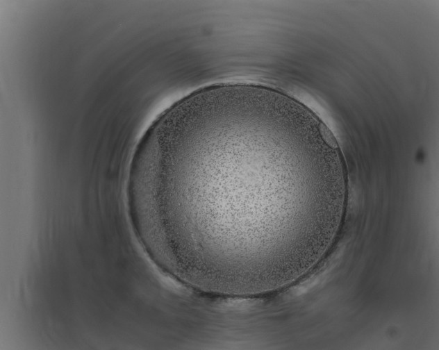 X0000094821093200711241502