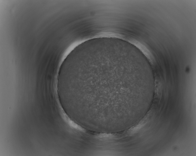 X0000094821094200711241502
