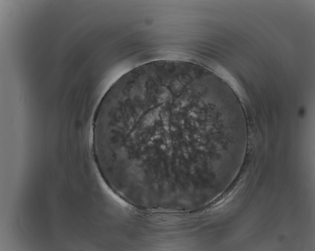 X0000094821095200711241502