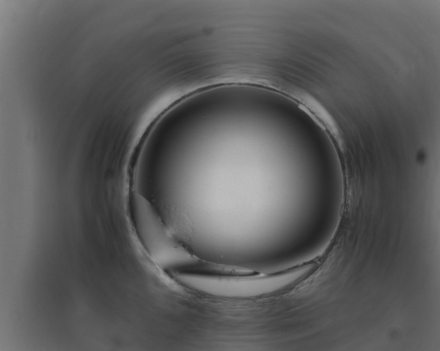 X0000094821096200711241502