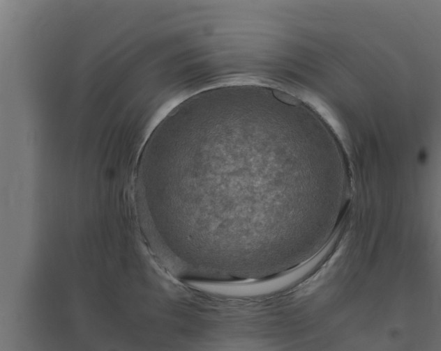 X0000094821097200711241502