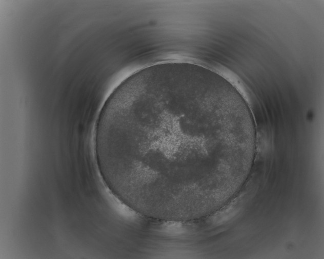 X0000094821098200711241502