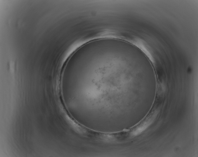 X0000094821101200711241502