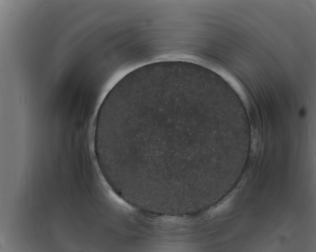X0000094821102200711241502