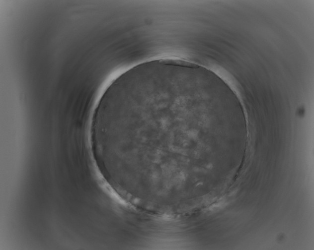 X0000094821104200711241502