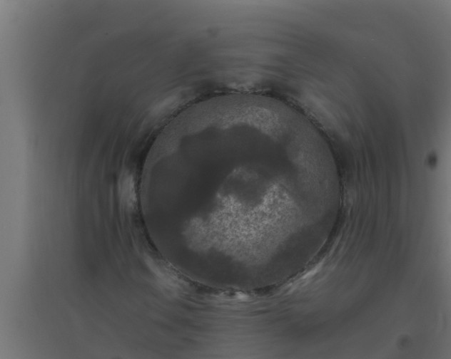 X0000094821106200711241501