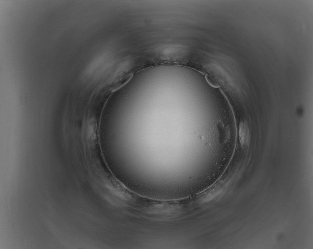X0000094821107200711241501