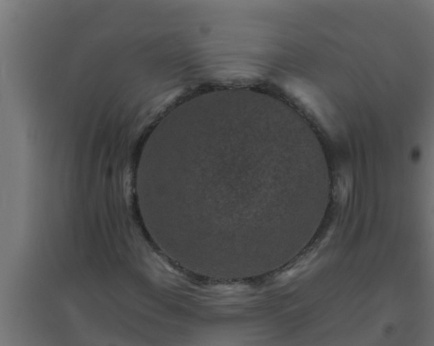 X0000094821108200711241501