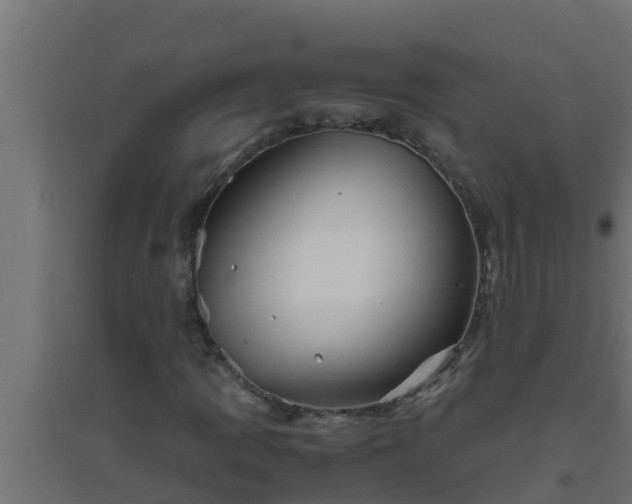 X0000094821109200711241501