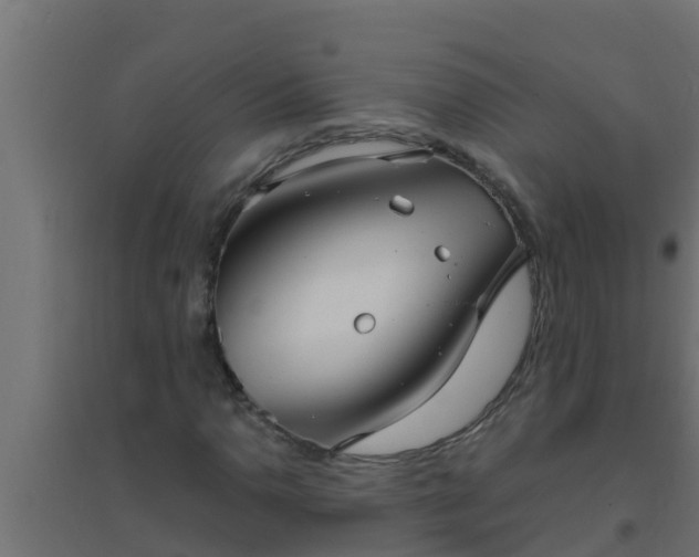 X0000094821110200711241501