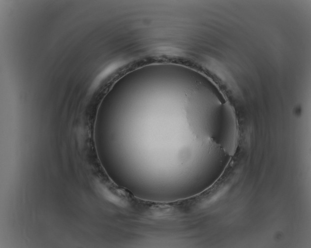 X0000094821112200711241502