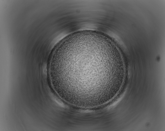 X0000094821113200711241502