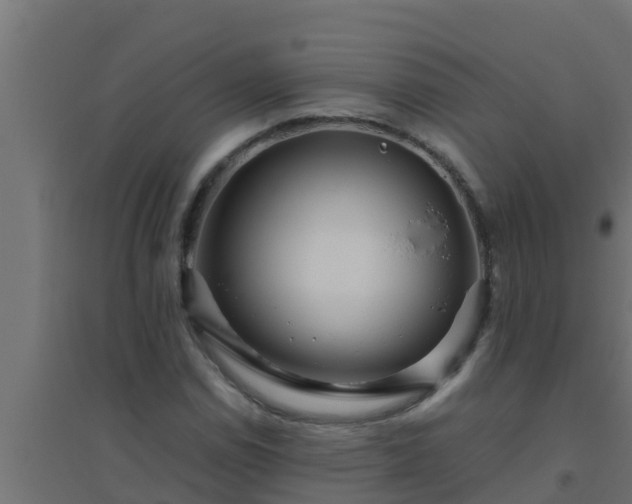 X0000094821114200711241502