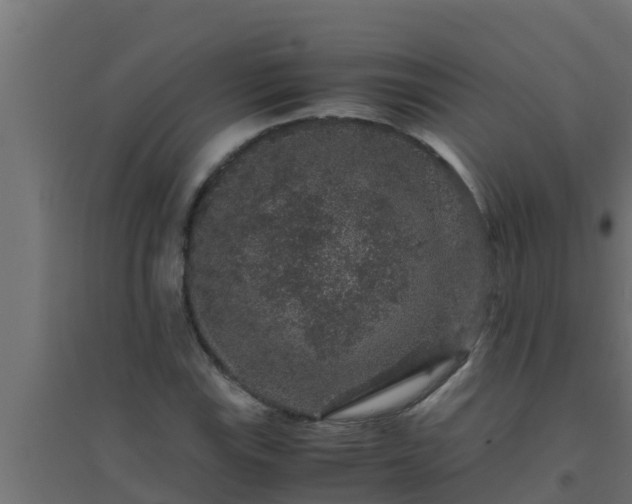 X0000094821115200711241502