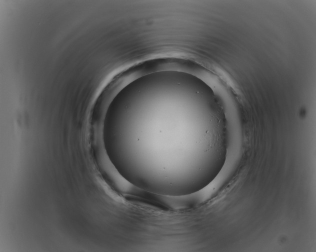 X0000094821116200711241502