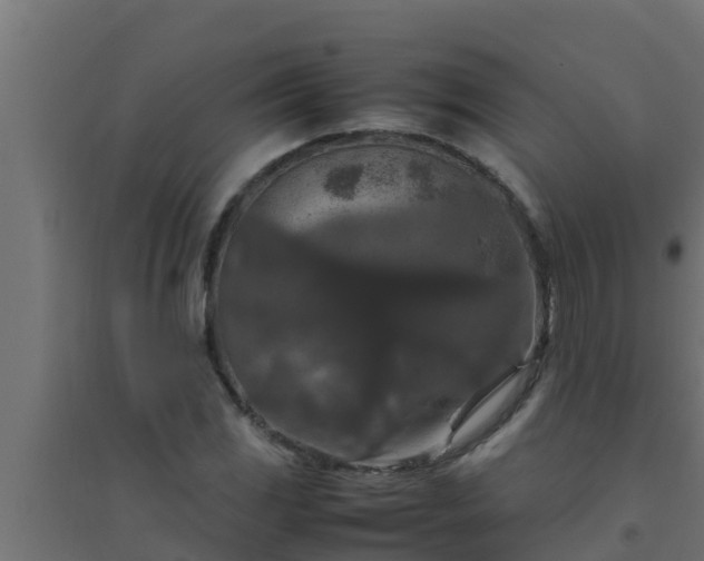 X0000094821117200711241502