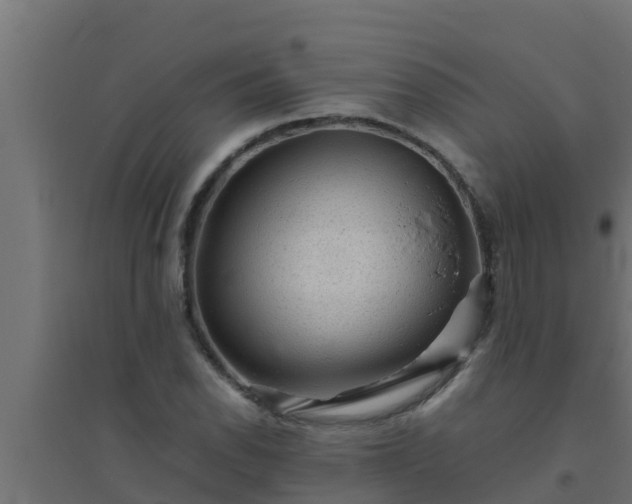 X0000094821118200711241502