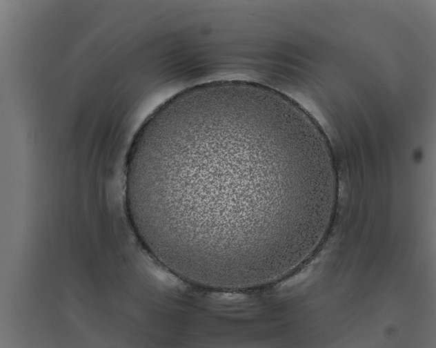 X0000094821119200711241502