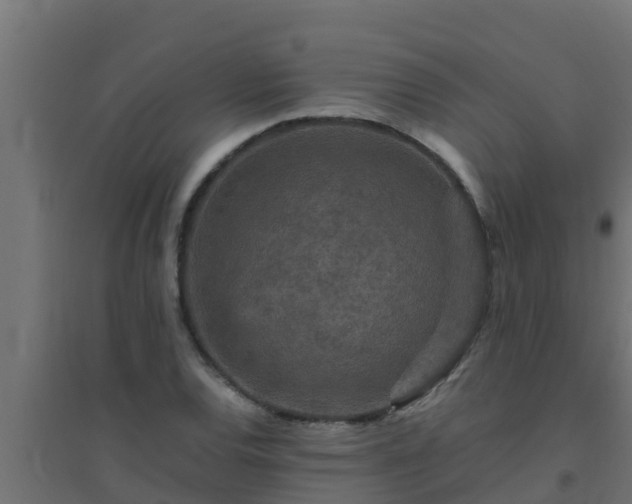 X0000094821120200711241502
