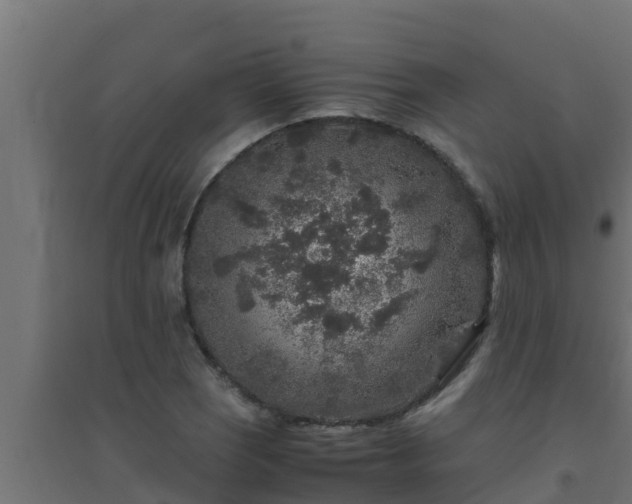 X0000094821121200711241502
