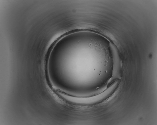 X0000094821122200711241502