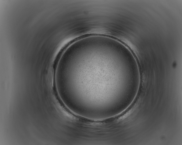 X0000094821123200711241502