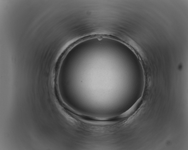 X0000094821124200711241502