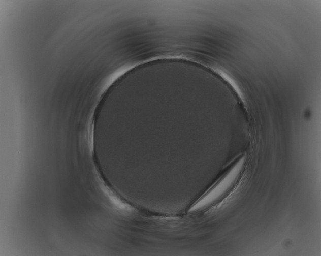 X0000094821127200711241502