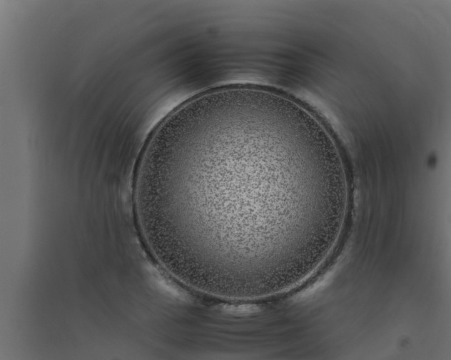 X0000094821129200711241502